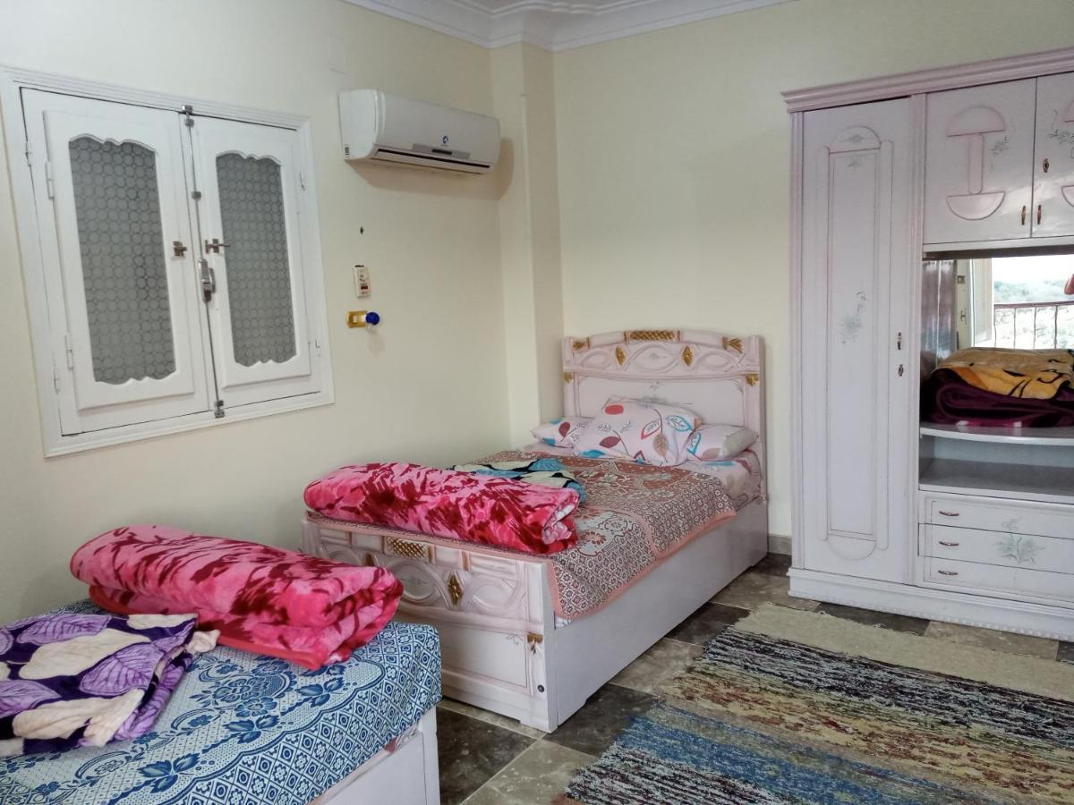 Go Inn Backpackers อัสวาน ภายนอก รูปภาพ