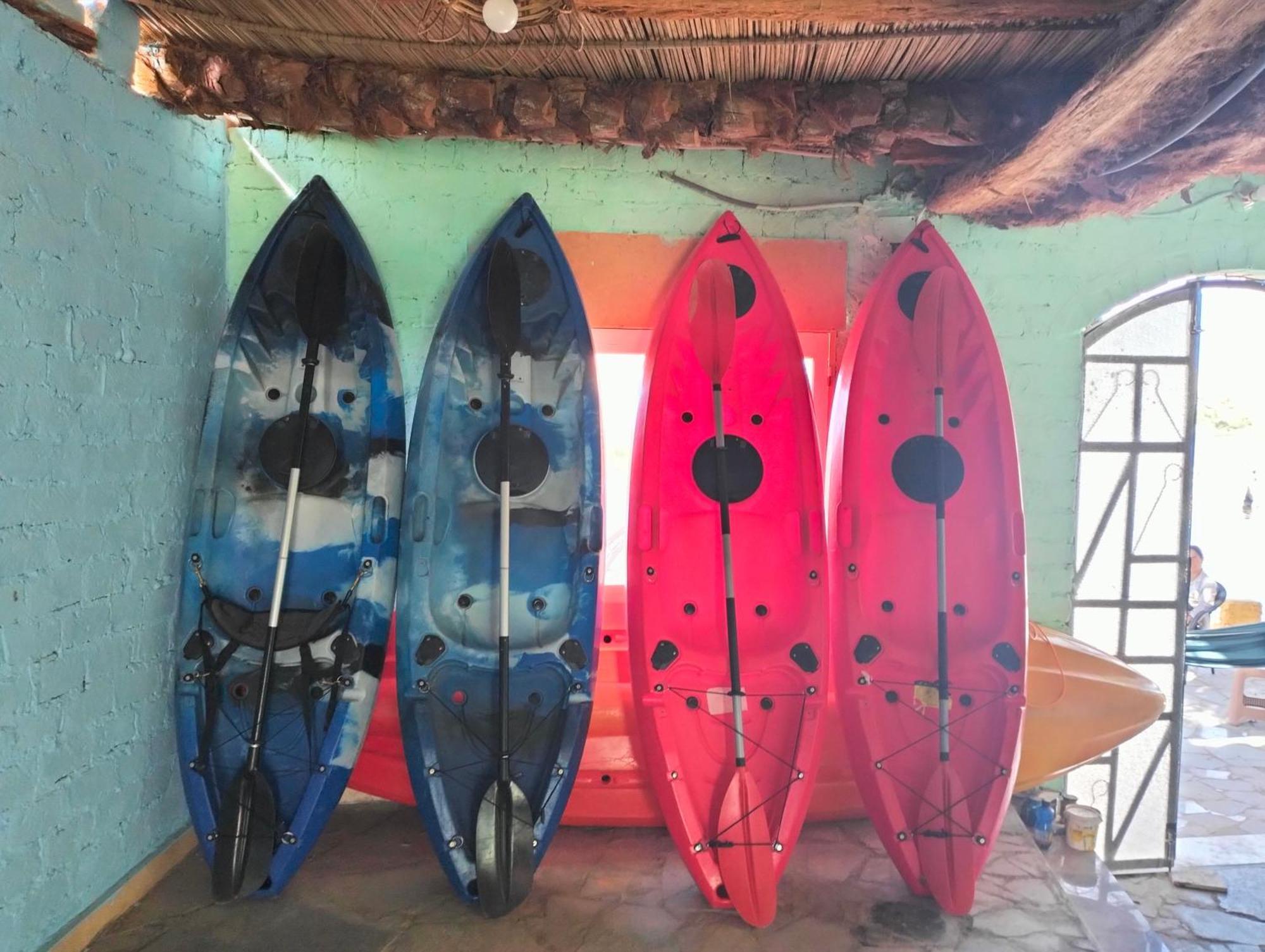 Go Inn Backpackers อัสวาน ภายนอก รูปภาพ